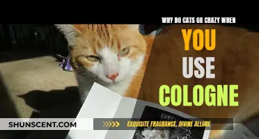 The Mystery Behind Cats and Cologne: Unveiling the Truth