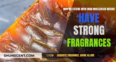 The Heavier the Ester, the Stronger the Fragrance