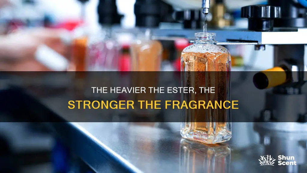 why do esters with high molecular weight have strong fragrances