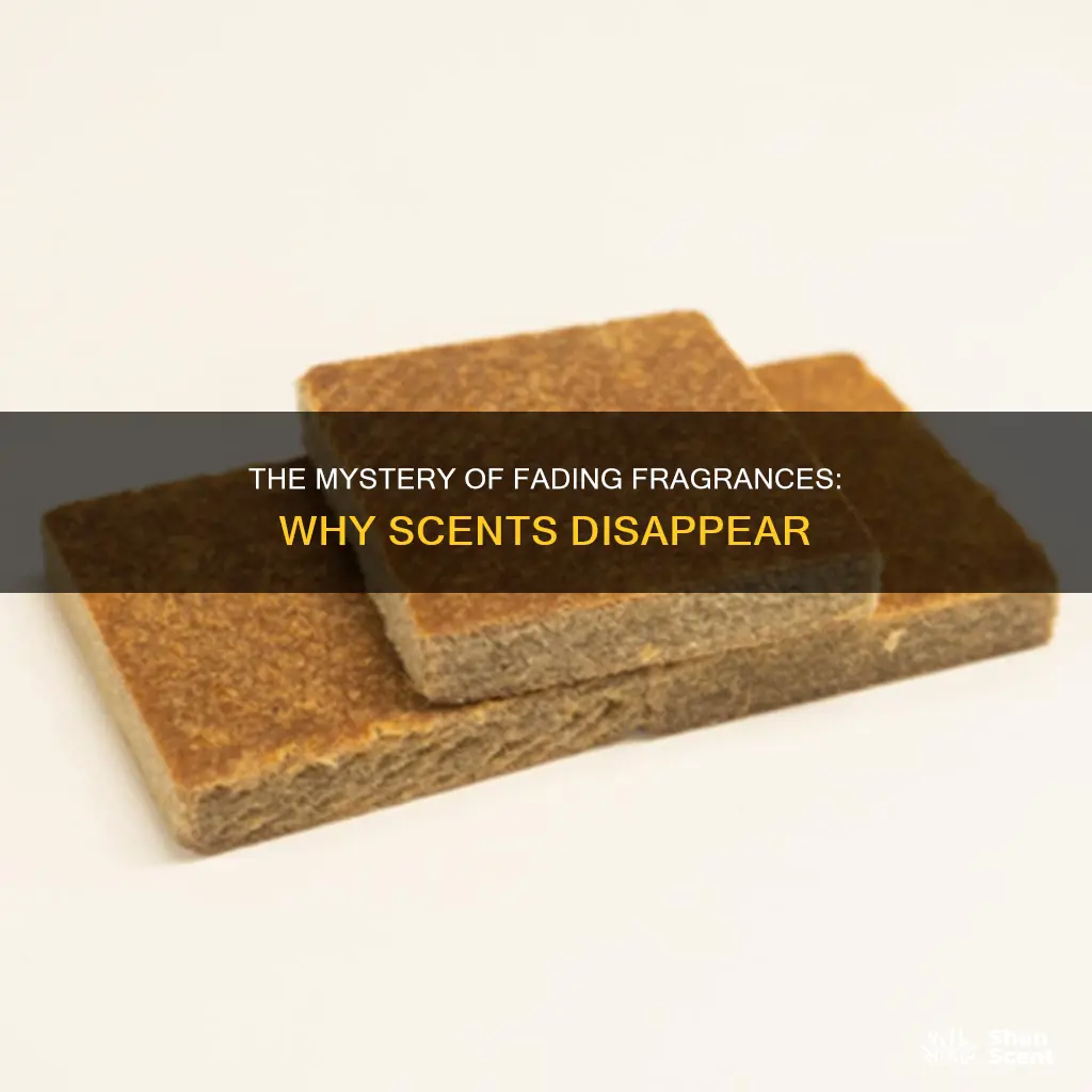 why do fragrances lose their smell