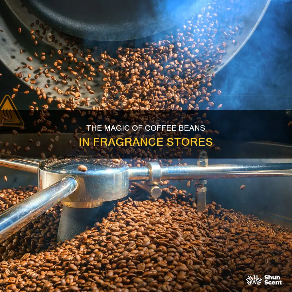 why do fragrances stores have coffee beans