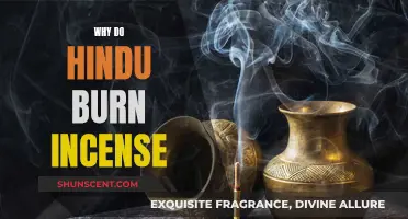 Incense Burning: Hindu Spiritual and Cultural Practice