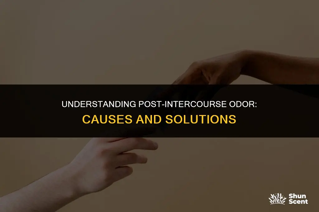 why do i get a bad odor after intercourse