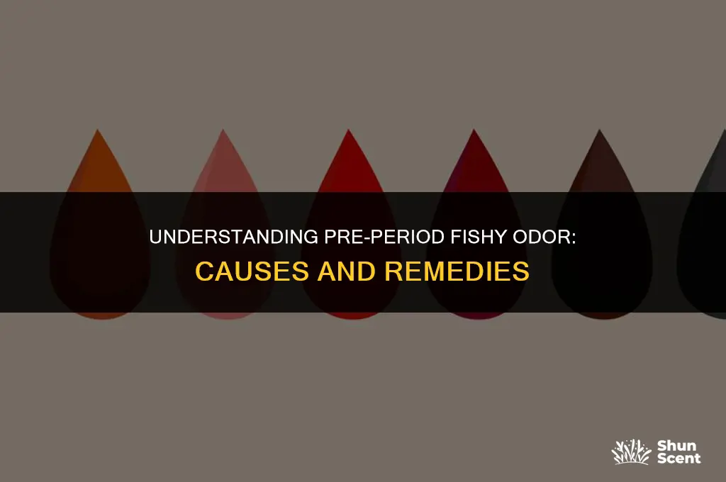 why do i get a fishy odor before my period