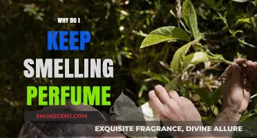 The Mystery of Random Perfume Scents