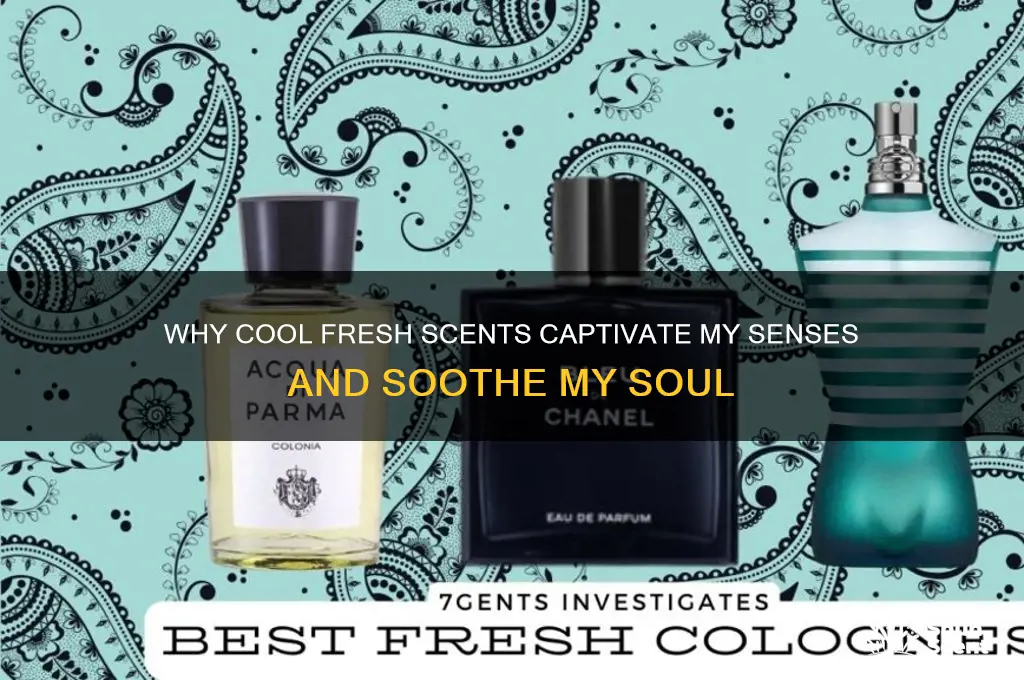 why do i like cool fresh scents