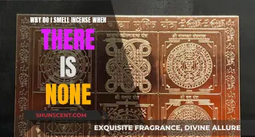 Incense Illusion: Why Do I Smell Incense?