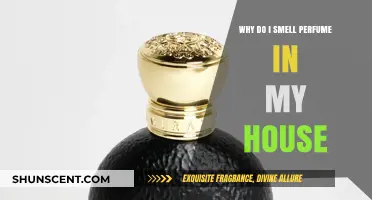 Uncanny Scents: Perfume's Lingering Mystery in Your Home