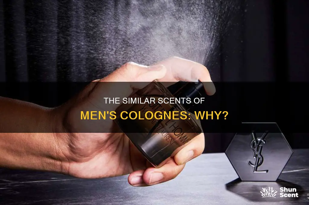 why do moat men colognes smell similar