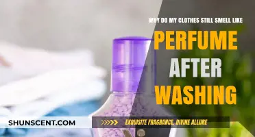Perfume-scented Laundry: Why It Happens and How to Fix It
