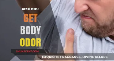 Unveiling the Science Behind Body Odor: Causes and Remedies