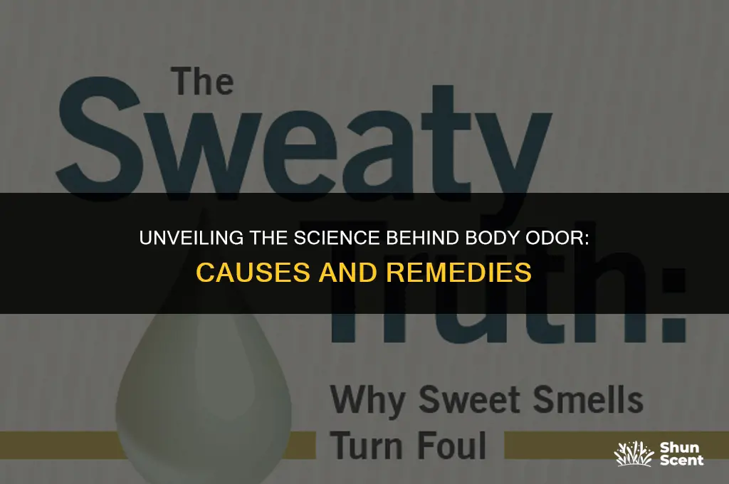 why do people get body odor