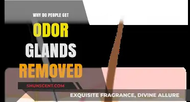 Understanding the Reasons Behind Odor Gland Removal: A Comprehensive Guide