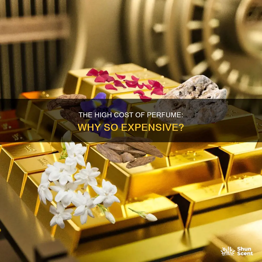 why do people pay so much for perfume