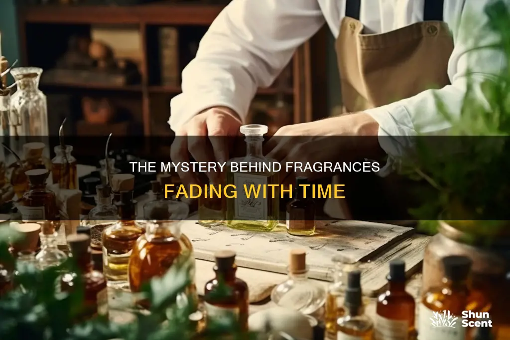 why do perfume fragrances decrease voer time