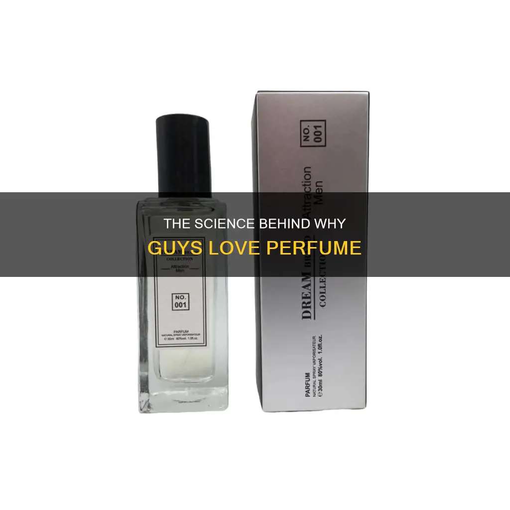 why do perfume make guys like