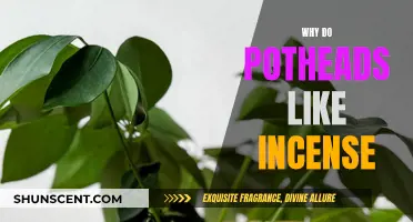 Incense and Pot: Why the Two Go Together