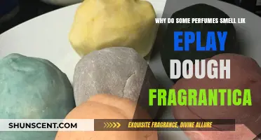 The Science Behind Play-Doh's Enticing Scent in Perfumes