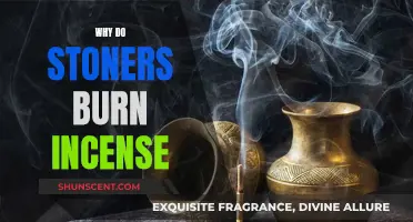 Incense and Cannabis: A Stoner's Guide to Scents