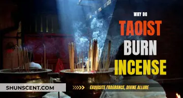 Taoist Incense Burning: Ancient Rituals for Mind and Soul