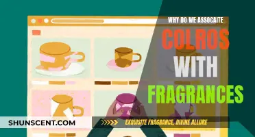 The Science of Color and Fragrance Association