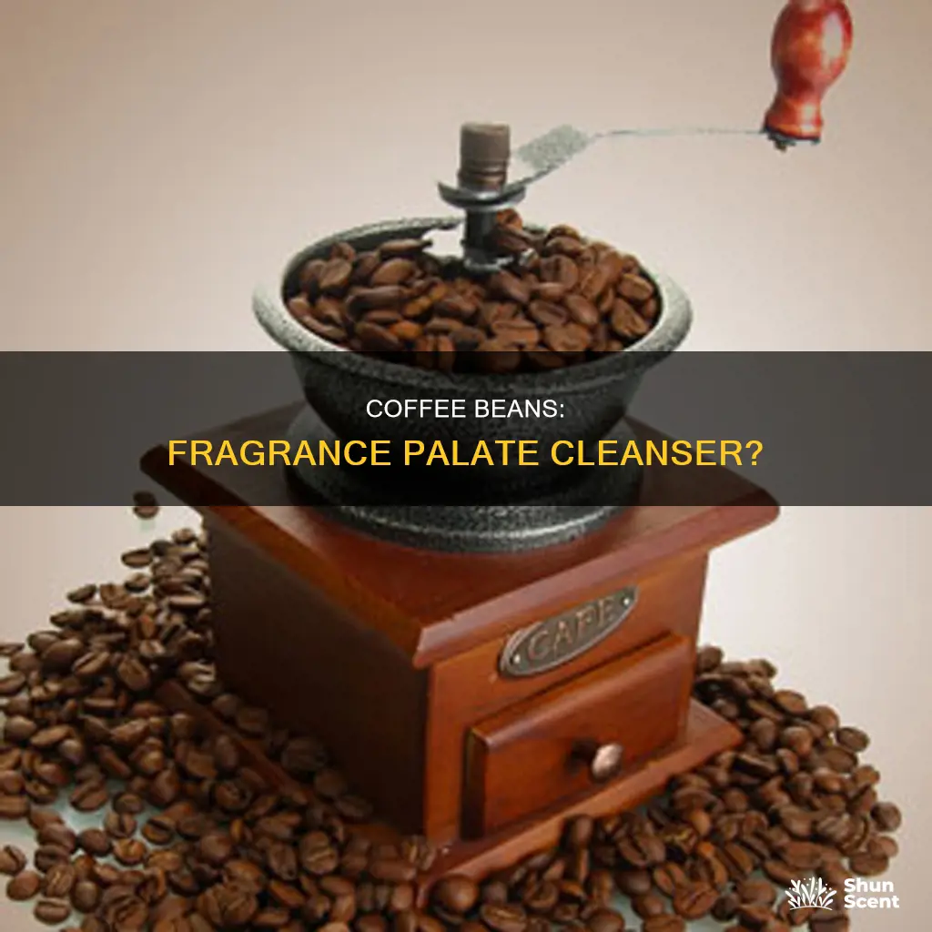 why do we smell coffee beans between fragrances