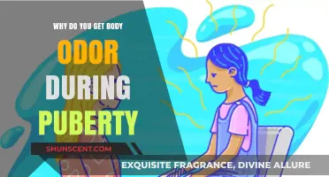 Understanding Body Odor Changes During Puberty: A Guide for Teens