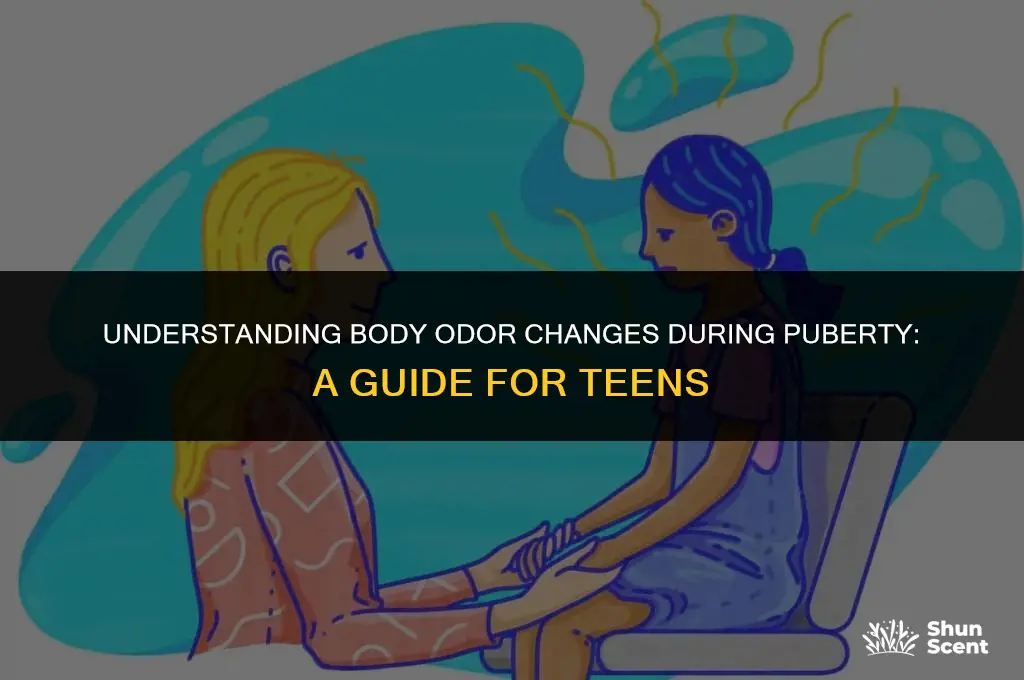 why do you get body odor during puberty
