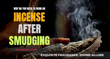 Cleansing Rituals: Burning Incense Post-Smudging
