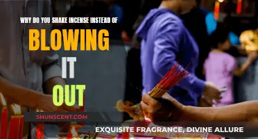 The Ancient Practice of Fanning Incense
