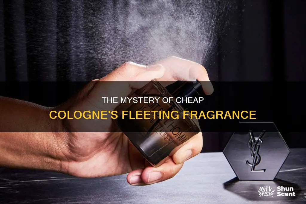 why does cheap cologne fade away