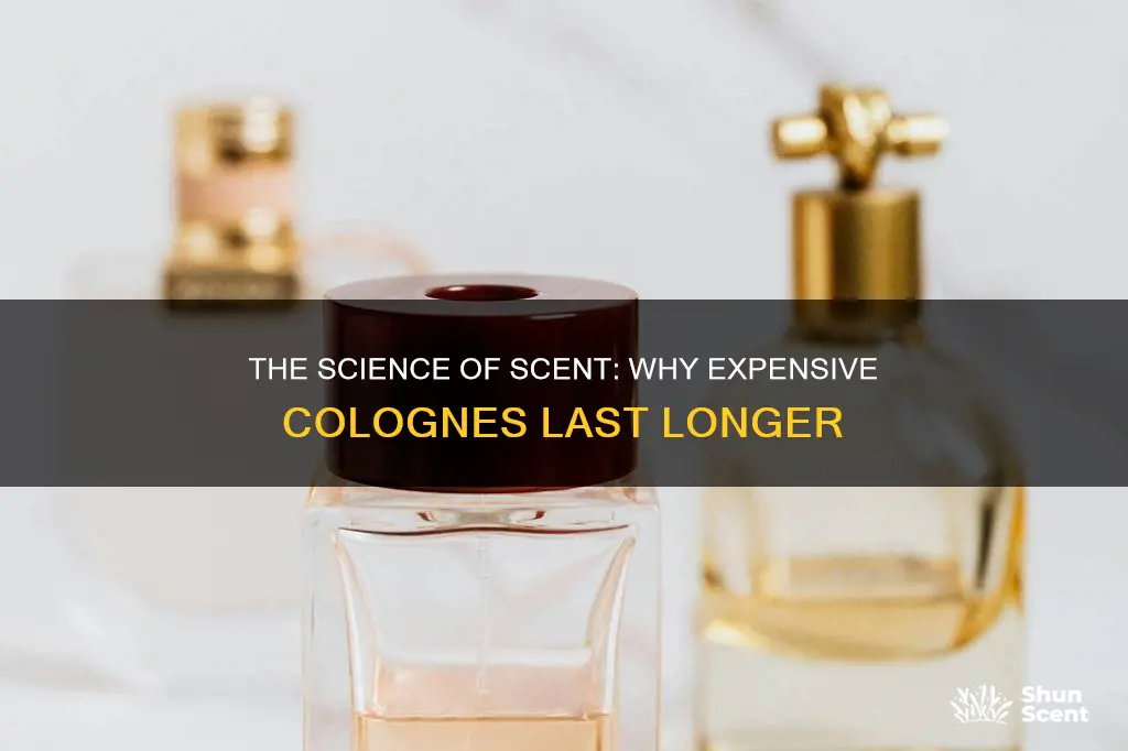 why does expensive cologne last longer