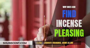 Incense: Pleasing to God, but Why?