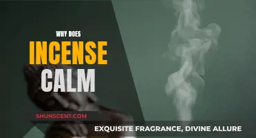 Incense: How the Ancient Practice Calms Your Mind
