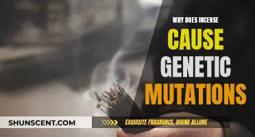 Incense and Genetic Mutations: A Complex Link