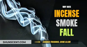 Incense Smoke: Why Does It Fall?