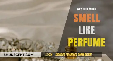 Money's Scent: Why Cash Smells Sweet