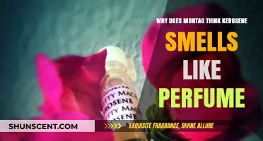 The Sweet Smell of Kerosene: Montag's Perfume