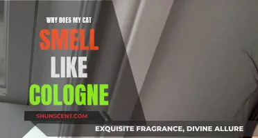 The Mystery of Cats Smelling Like Cologne