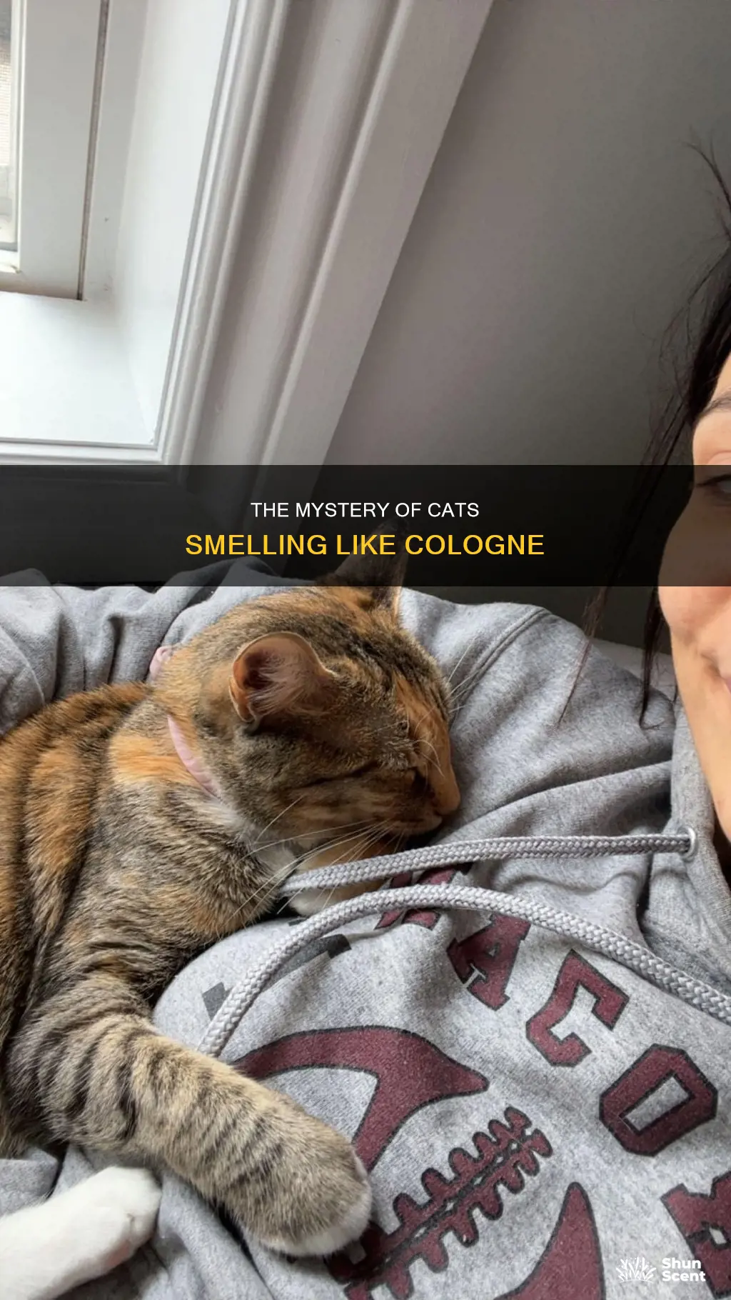 why does my cat smell like cologne