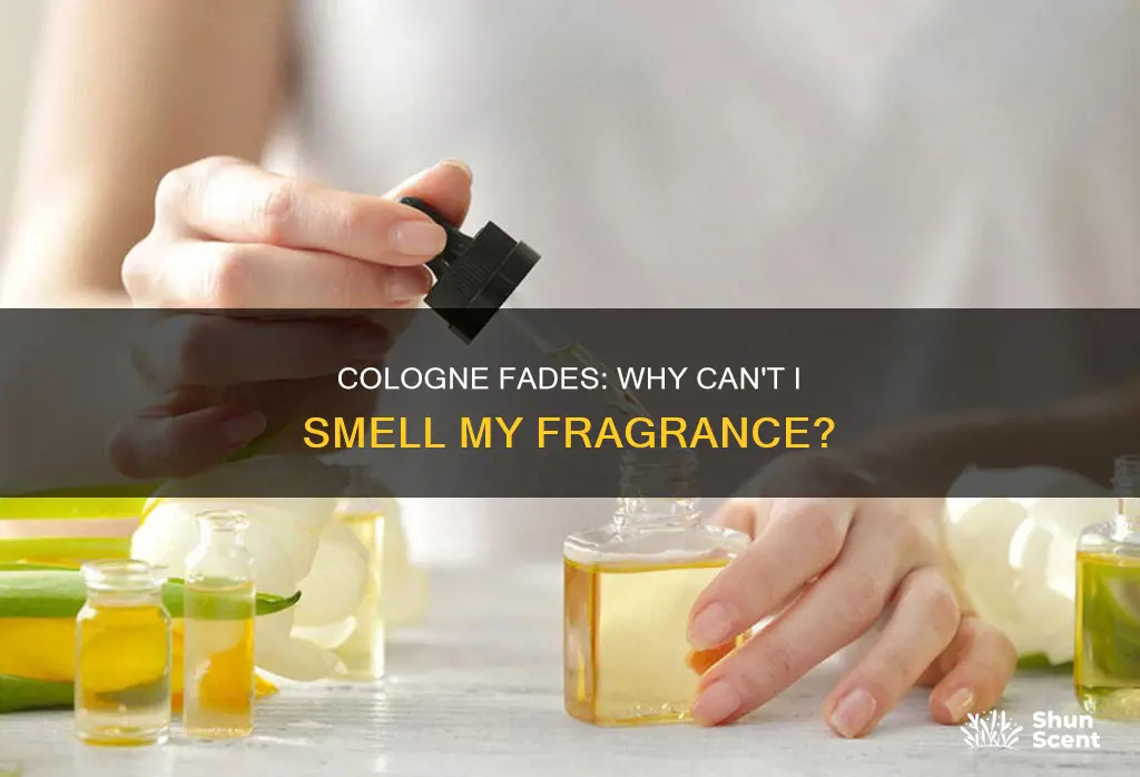 why does my cologne not smell anymore