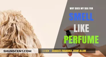 The Sweet Smell of Dog Fur: Why the Perfume Scent?