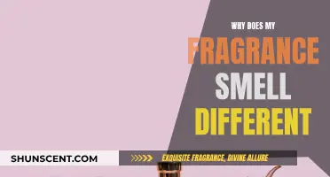 The Mystery of Fragrance: Why Does Scent Change?