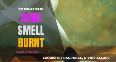 Incense Cones: Why Do They Smell Burnt?