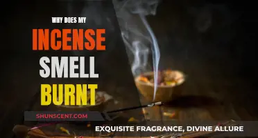 Incense 101: Why Does It Smell Burnt?