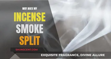 Incense Smoking: Why Does the Smoke Split?