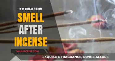 Incense and Sensibility: Why Your Room Smells