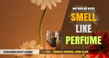 Unusual Scent in Water: Why Does It Smell Like Perfume?