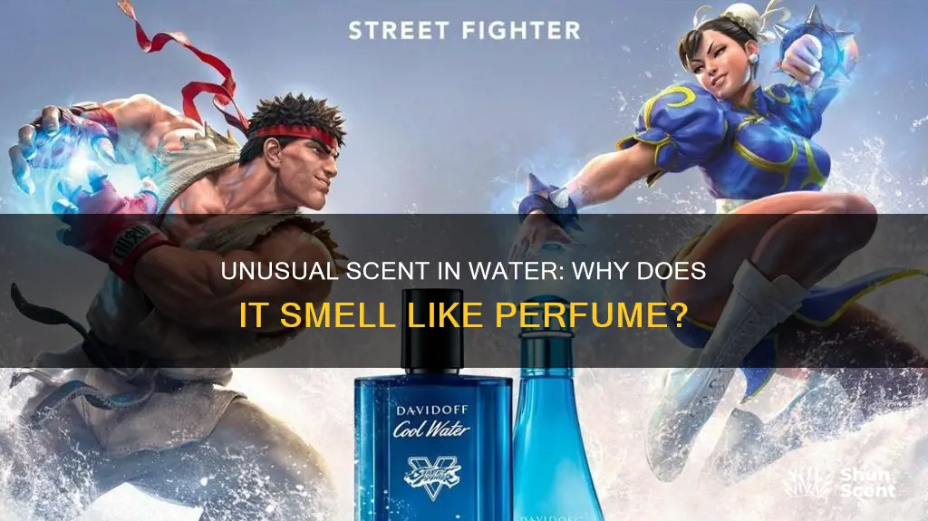 why does my water smell like perfume