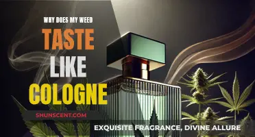 Weed's Fragrance: Why Does it Smell Like Cologne?